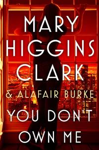 You Don't Own Me (An Under Suspicion Novel)