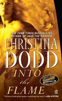 image of Into the Flame (Darkness Chosen, Book 4)