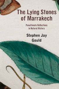 image of The Lying Stones of Marrakech: Penultimate Reflections in Natural History