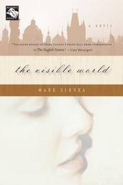 cover of The Visible World: A Novel