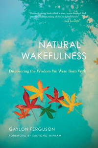NATURAL WAKEFULNESS : DISCOVERING THE WISDOM WE WERE BORN WITH