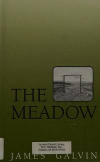 image of The Meadow (Curley Large Print Books)