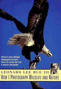 image of How I Photograph Wild Life and Nature