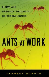 Ants At Work: How An Insect Society Is Organized by Deborah Gordon - 2011-08-07