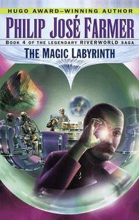 cover of Magic Labyrinth