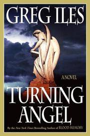 Turning Angel: A Novel
