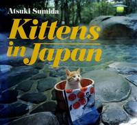 Kittens In Japan