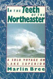 image of In the Teeth of the Northeaster: A Solo Voyage on Lake Superior