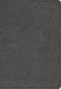ESV Student Study Bible (TruTone, Gray)