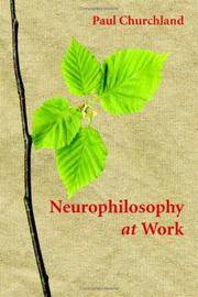 Neurophilosophy at Work by Paul Churchland - 1st Edition - 2007 - from The Battery Books & Music (SKU: 3594B)