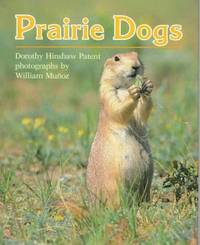 Prairie Dogs