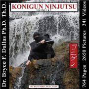 Konigun Ninjutsu