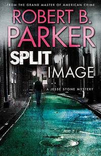 Split Image (ISBN: 9781849160735)