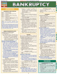 Bankruptcy (Quick Study Law)