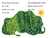 The Greedy Python/Ready-to-Read Level 1 (The World of Eric Carle)