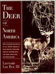 The Deer Of North America