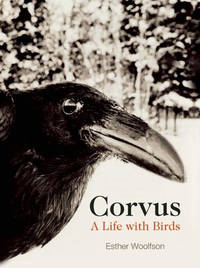 Corvus : A Life with Birds