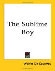 image of The Sublime Boy