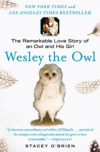 Wesley the Owl