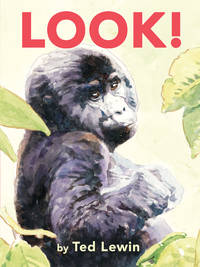 Look! (I Like to Read, Guided Reading Level D)