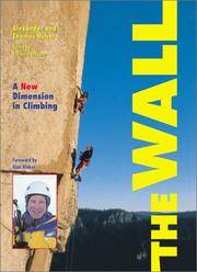 The Wall : A New Dimension in Climbing