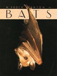 洋書　BATS     M. BROCK FENTON Amazon.com: Bats: A World of Science and Mystery