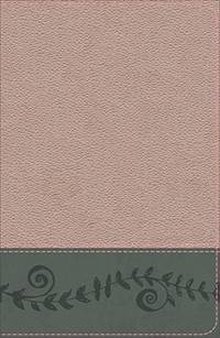 KJV Study Bible for Girls Pink Pearl/Gray, Vine Design LeatherTouch