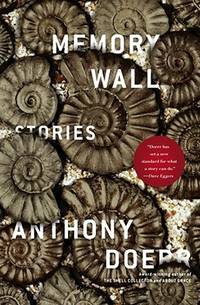 Memory Wall (ISBN: 9781439182802)