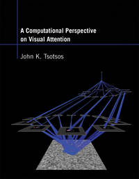 A Computational Perspective On Visual Attention