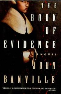 cover of The Book of Evidence