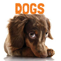 Dogs (Animal Lovers)
