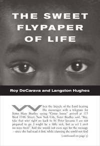 cover of The Sweet Flypaper of Life