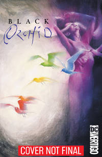 cover of Black Orchid