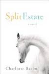 Split Estate: A Novel