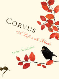 Corvus