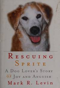 image of Rescuing Sprite