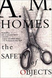 image of The Safety of Objects