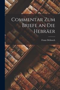 Commentar zum Briefe an die Hebräer (German Edition)