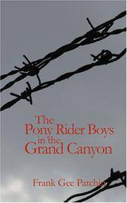 image of The Pony Rider Boys in the Grand Canyon: The Mystery of Bright Angel Gulch