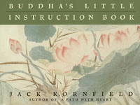 Buddhas Little Instruction Book
