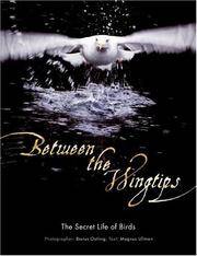 BETWEEN THE WING TIPS: THE SECRET LIfE OF BIRDS