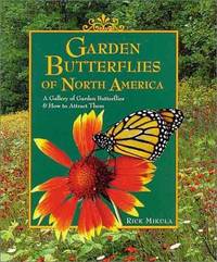 Garden Butterflies Of North America