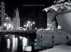 Catherine Opie: Chicago (American Cities)