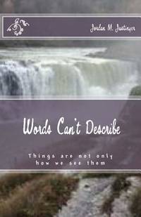 Words Can't Describe: Things are not only as we see them. Everyone has a unique experience for...
