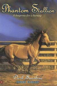 Dark Sunshine (Phantom Stallion #3)