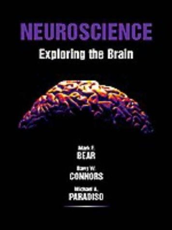 Neuroscience: Exploring the Brain by Bear, Mark F.; Connors, Barry