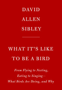 What It's Like to Be a Bird: From Flying to Nesting, Eating to Singing--What Birds Are Doing, and...