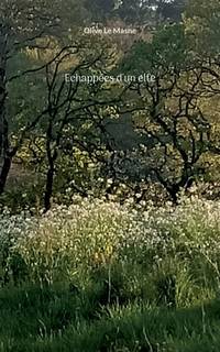 Echappées d'un elfe (French Edition)