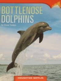 Bottlenose Dolphins