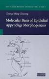 Molecular Basis of Epithelial Appendage Morphogenesis